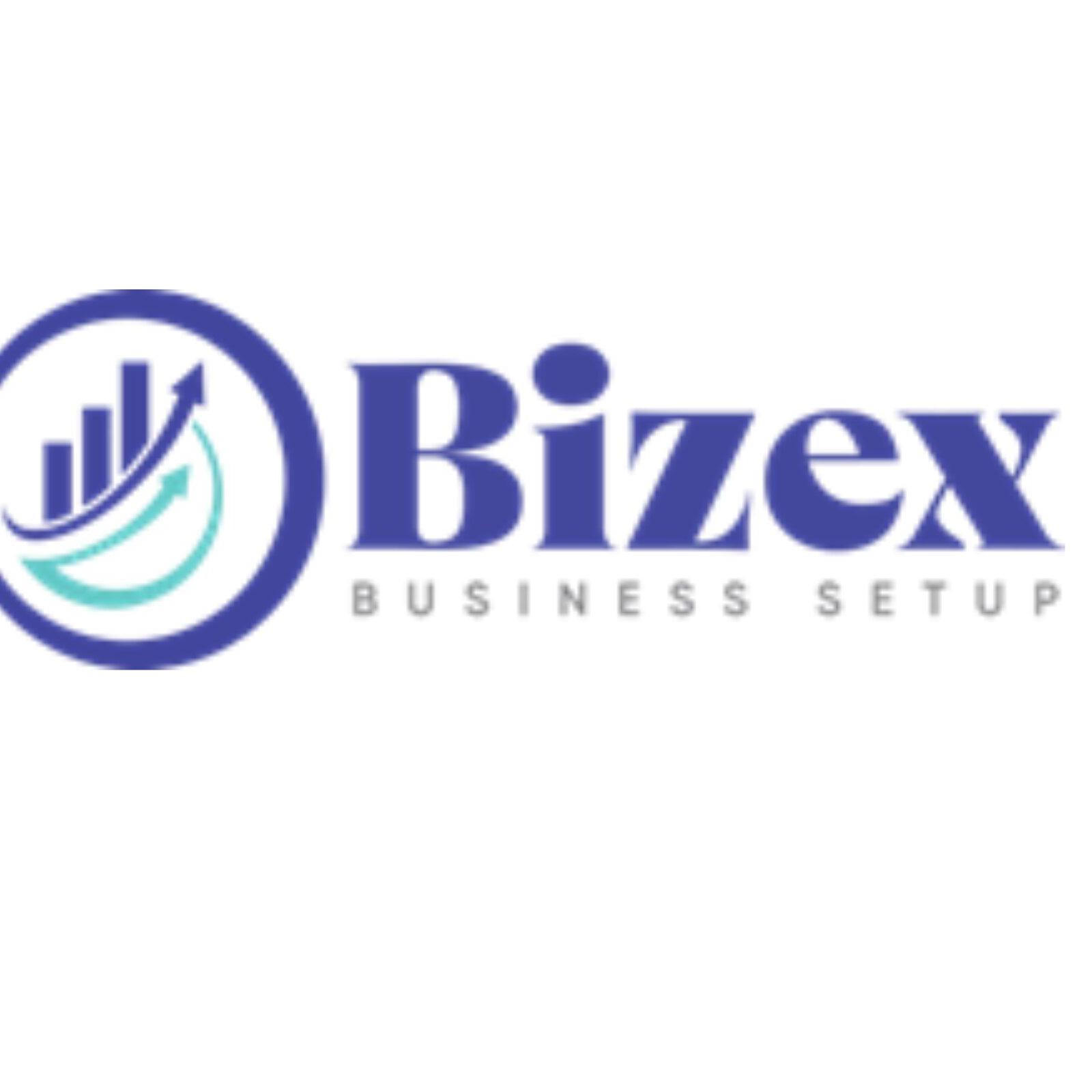 Bizex LLC